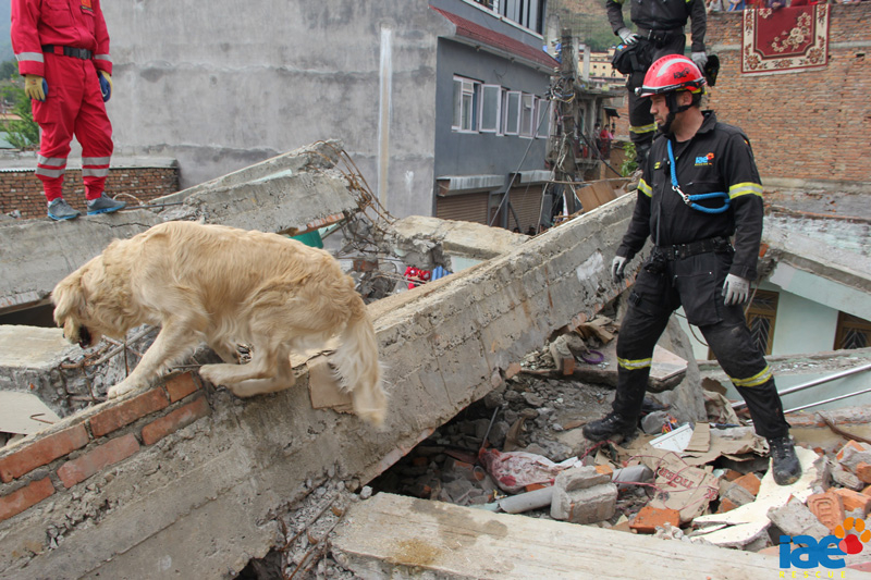 Nuestro distribuidor JS L´Olleria participó en ayudas humanitarias en Nepal